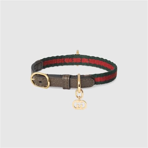 gucci print cat collar|Gucci designer cat collars.